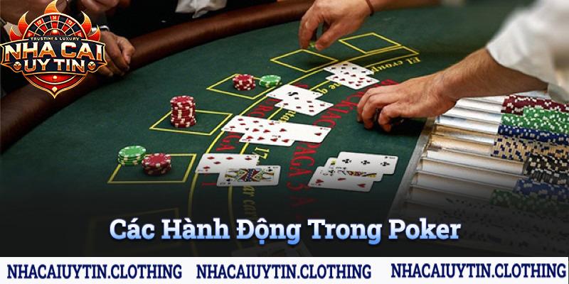 Những hành động thực hiện đánh bài trong phiên cược